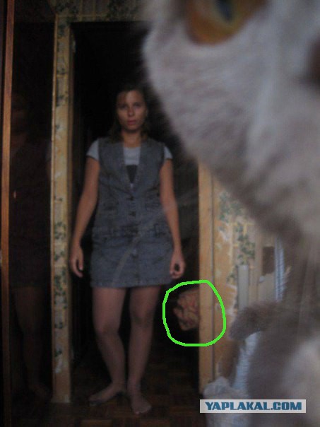 19 фотографий, где фон намного интересней переднего плана