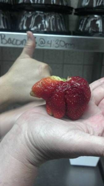 Подборка картинок