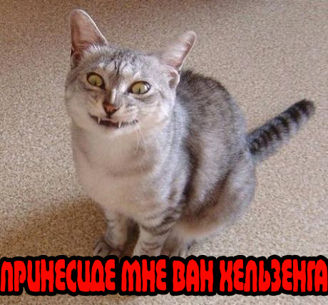 Вторничный котомёт!