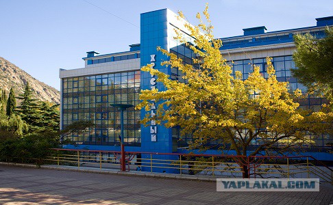 Артек, "ужасы" российской действительности