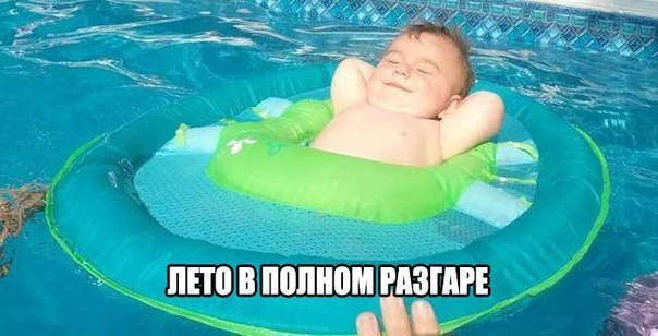 Интересные и веселые картинки