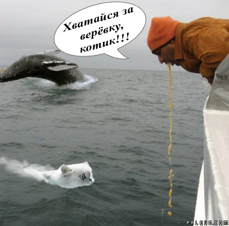 Фотожаба: Офигевший пловец