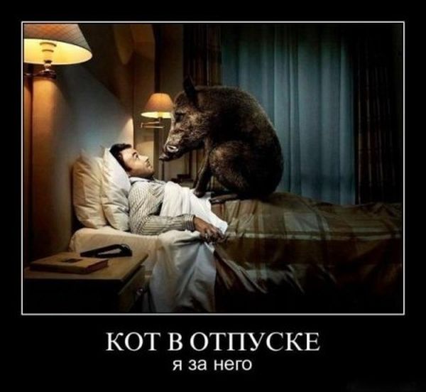Смотрел кино заснул. Проснулся на груди что-то сидит!