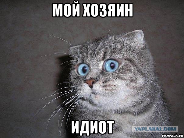 Вопрос уголовника  80 левела