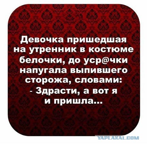 Картинки с интернетов