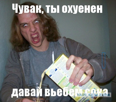 Ох уж эти дамы...