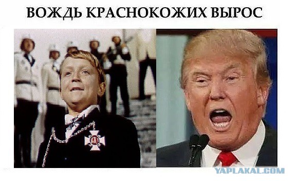 Смешные картинки из сети