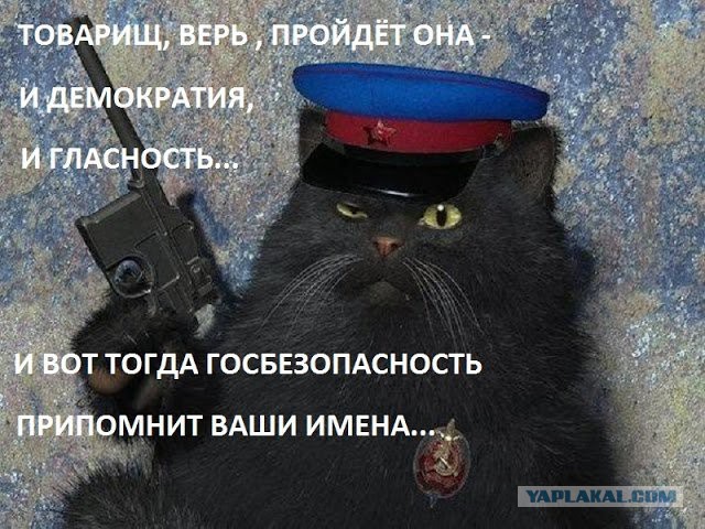 «Как человек, рожденный в 1937 году, я хочу предупредить»