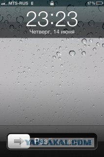 Волшебные грибочки