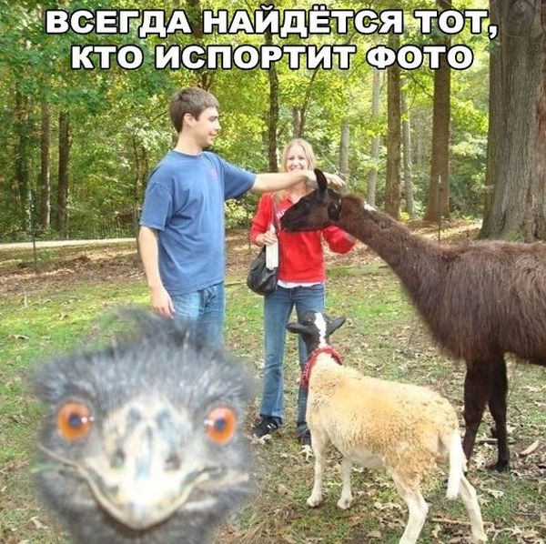 Подборка интересных и веселых картинок