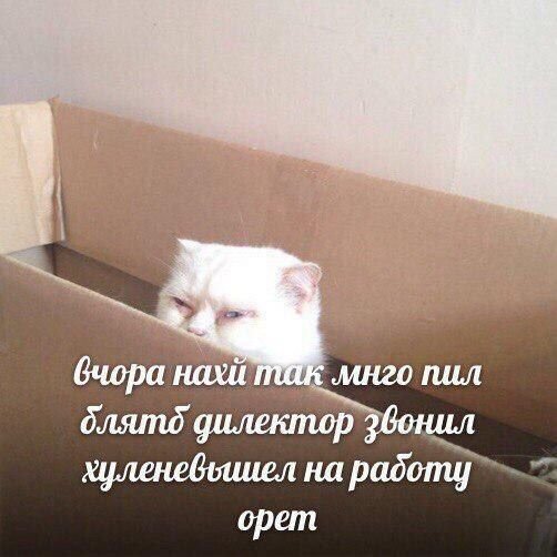 Вечер пятницы подкатил, час картинок наступил!