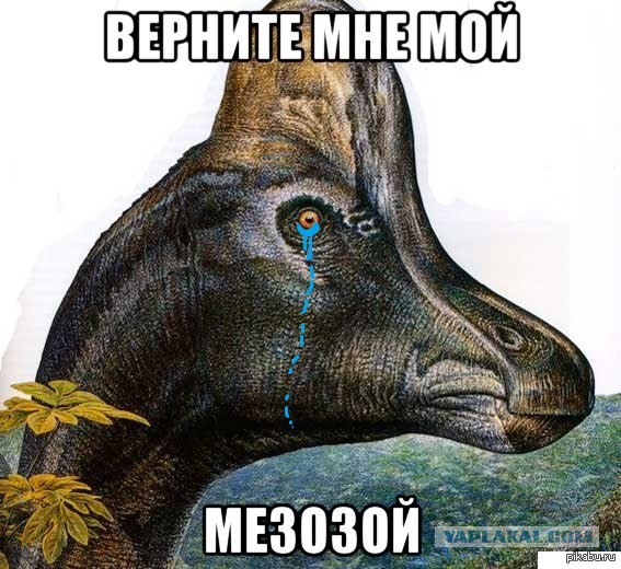 Как выглядели студентки 1 курса раньше и сейчас