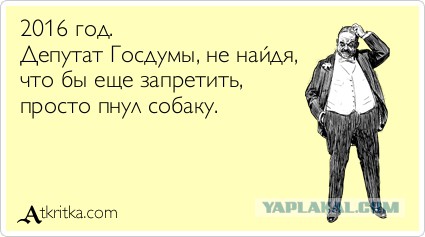 В России запретят тонировку задних стекол машин