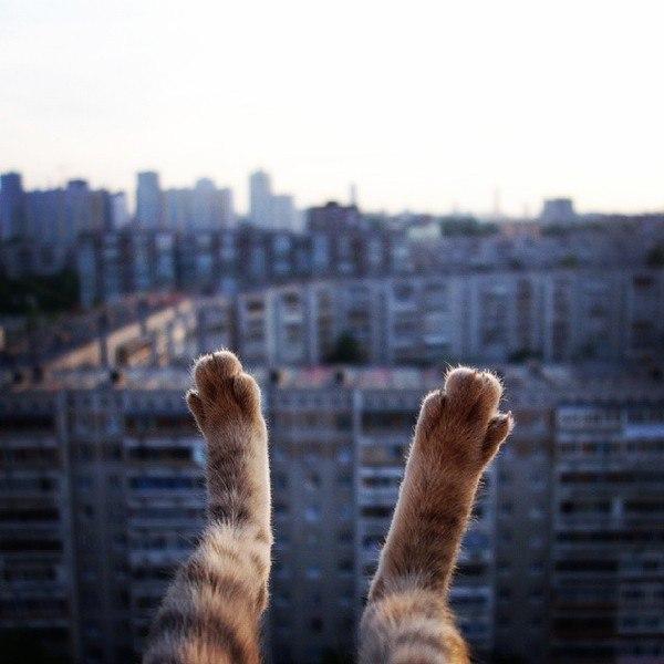 Немного картинок в эту субботу