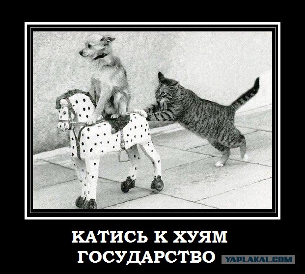Молодежи государство не должно ничего
