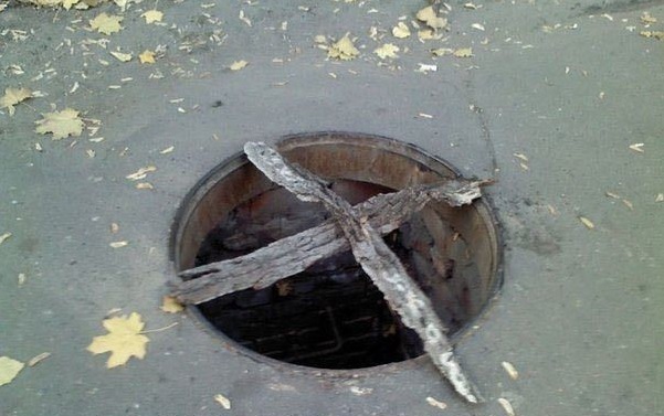 Лента прикольных картинок
