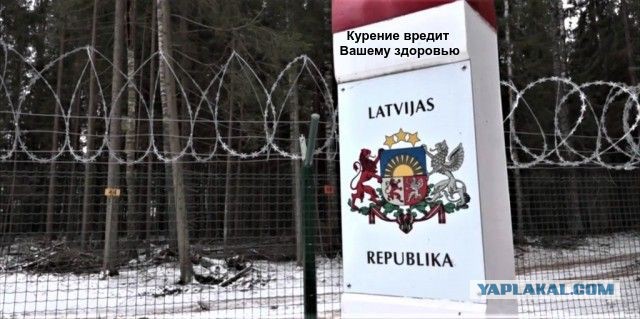 Латвия возвела забор с колючей проволокой на границе с Россией