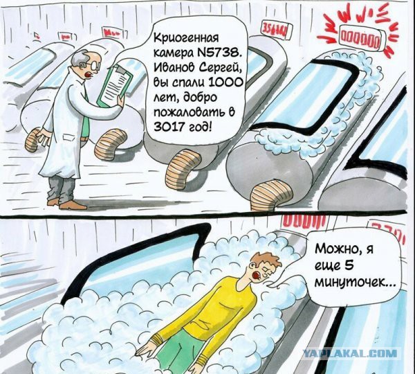 Анекдоты, соц-сети и картинки с надписями