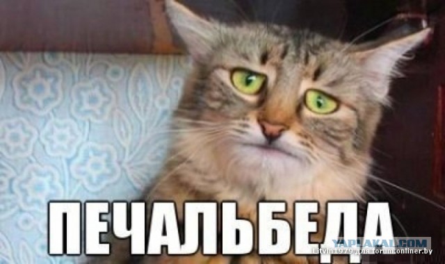 Кого звать, если...