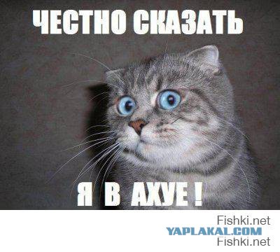 Очередная автосвинья