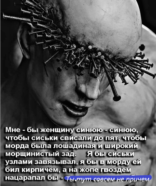 Кошка Мурка едет в дурку