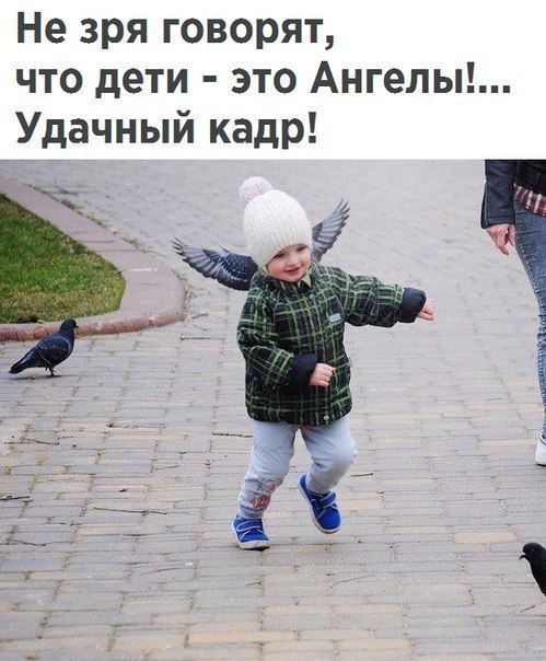 Чуток картинок 07.02.20.