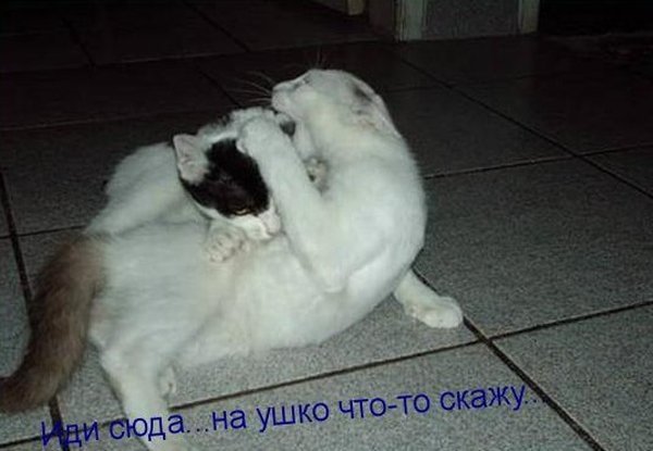 Чуток картинок.  Вечерние