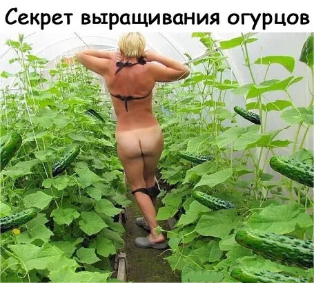 Бредзона 15.11.20