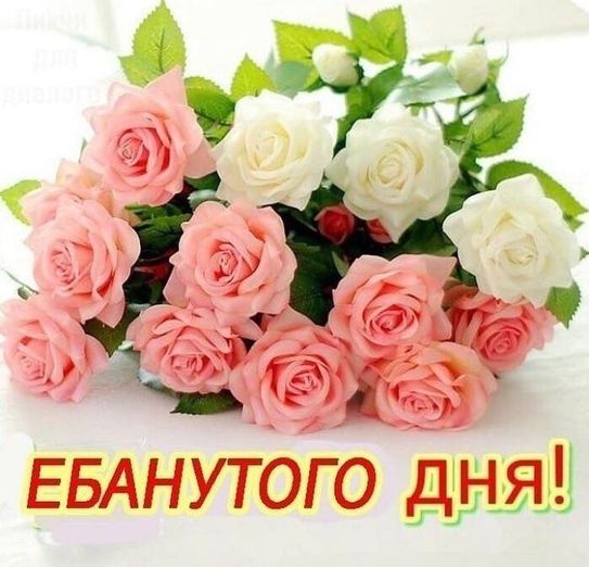 Странные картинки