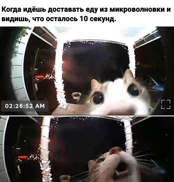 Картинки с надписями и всякие жизненные фразы