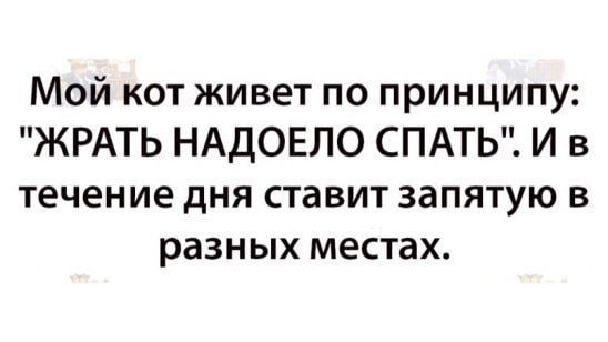 Бредзона 31.01.21