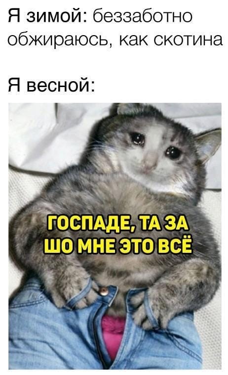 Юмор и прикольные картинки