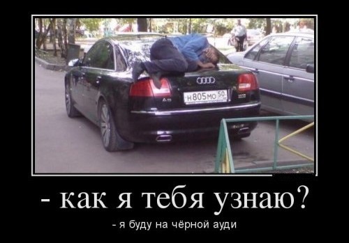 Вот они какие, криптовалютчики