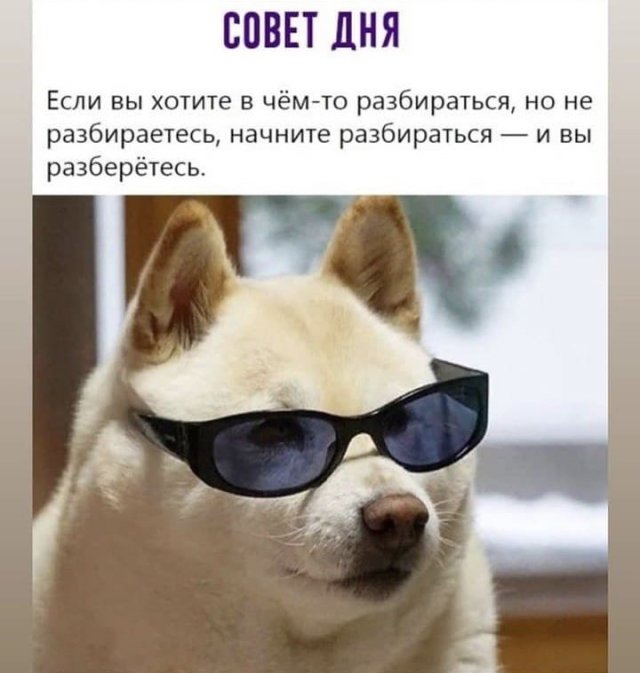 Я НЕ понимаю