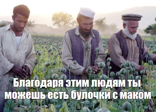 Талибы внезапно стали хорошими, что не так с миром?