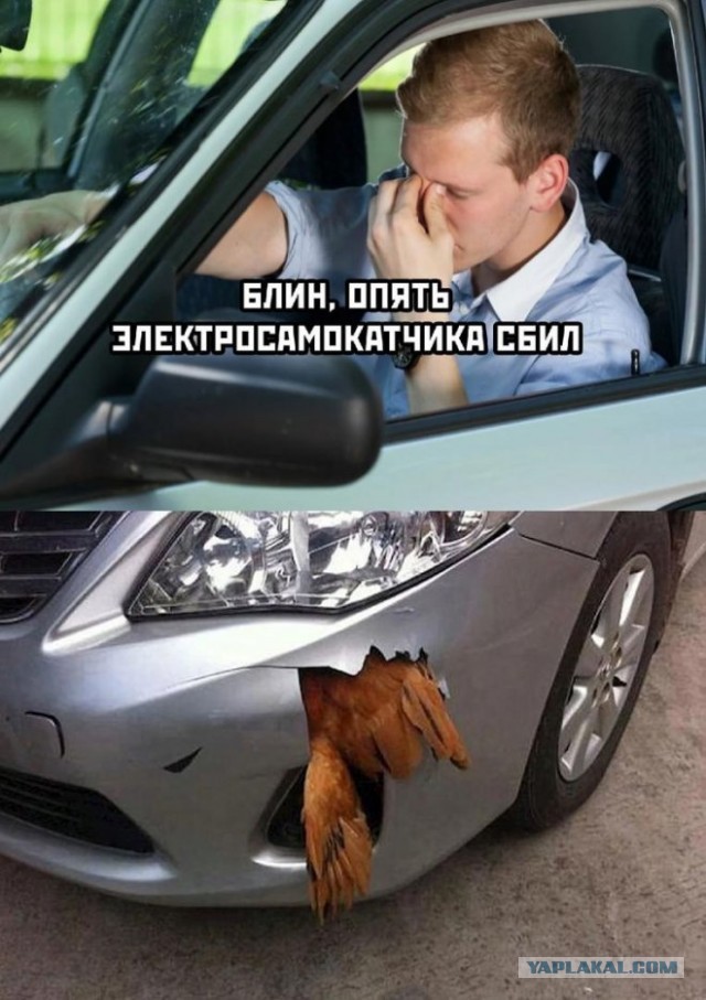 Электросамокатчики против водителя мопеда