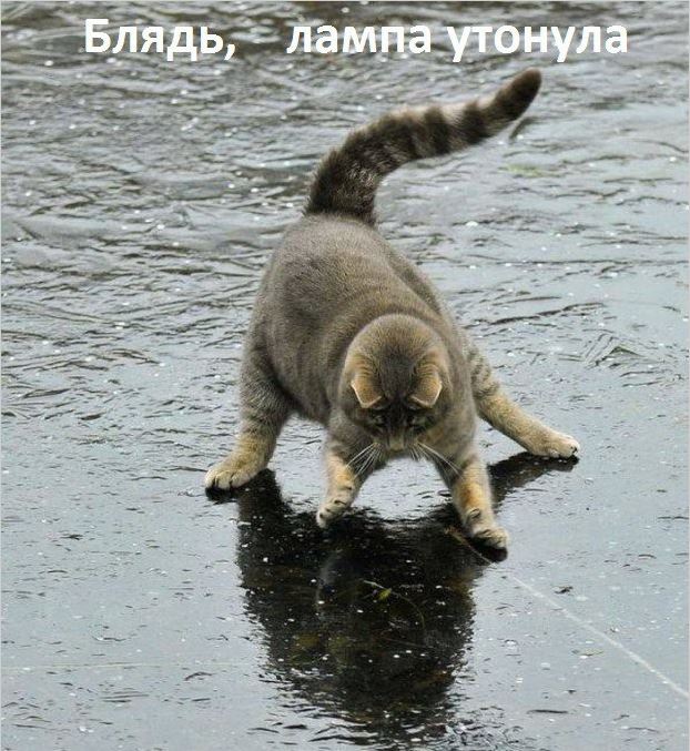 Сексом дружбу не испортишь