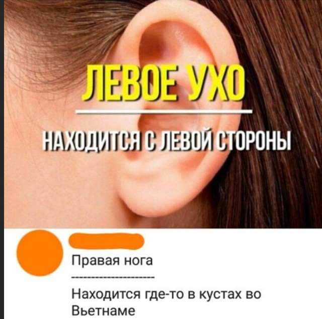 Боян на Бояне...