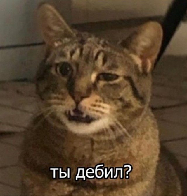 Достоинство с недостатками, или Большой член — большие проблемы