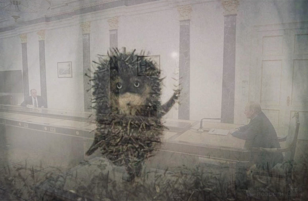 Дистанция