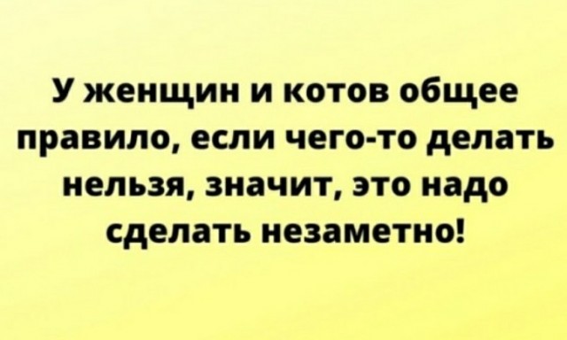 Картинки для тех, кто похмелился