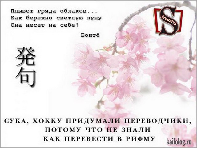Пандемия. Коронавирус и съехавшие крыши. Россия и мир. Часть 33.