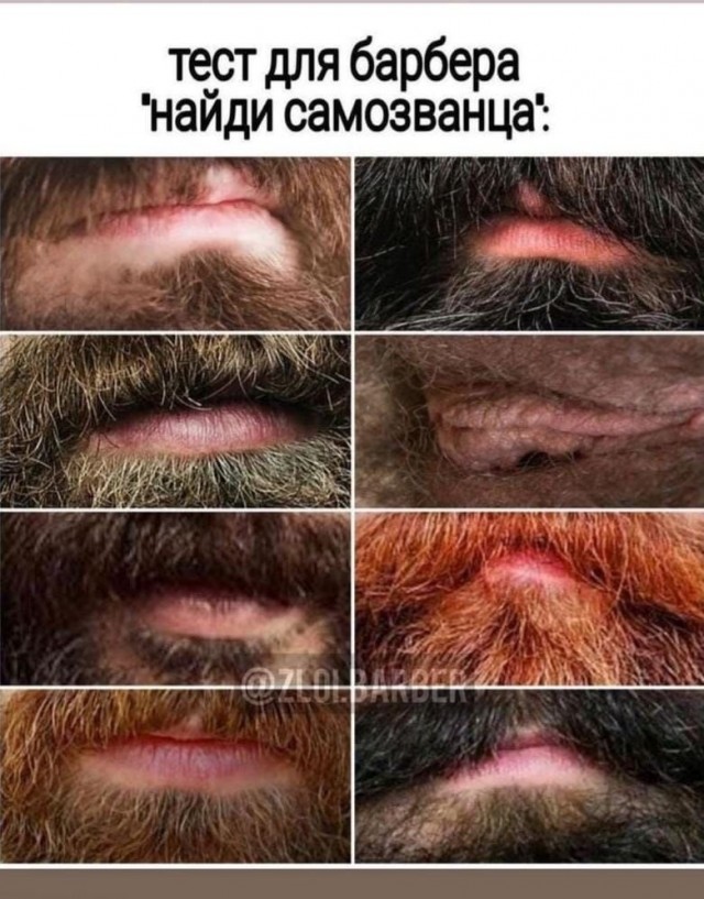 Картинки и мемы для настроения  - 31