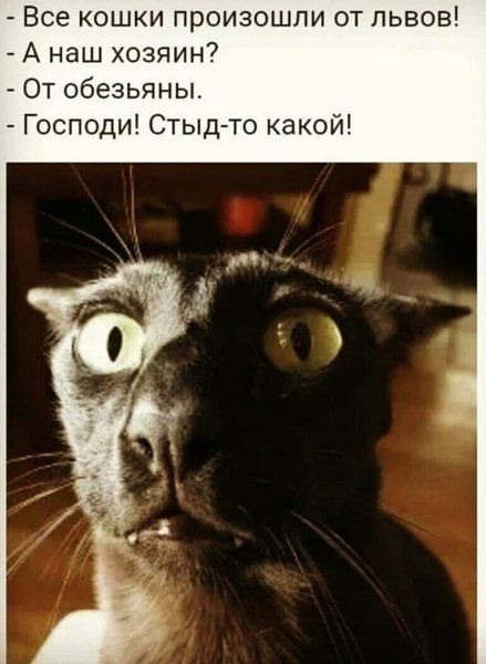 Пятница. Вечер. Картинки всякие #7