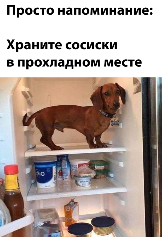 Картинки и мемы - "Жить, как говорится, хорошо..."
