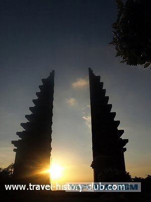 Они живут только 40 лет