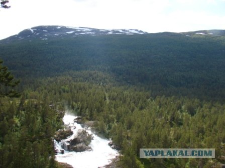 Деревня в которой я живу