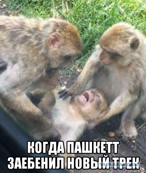 Когда встречают по одежке