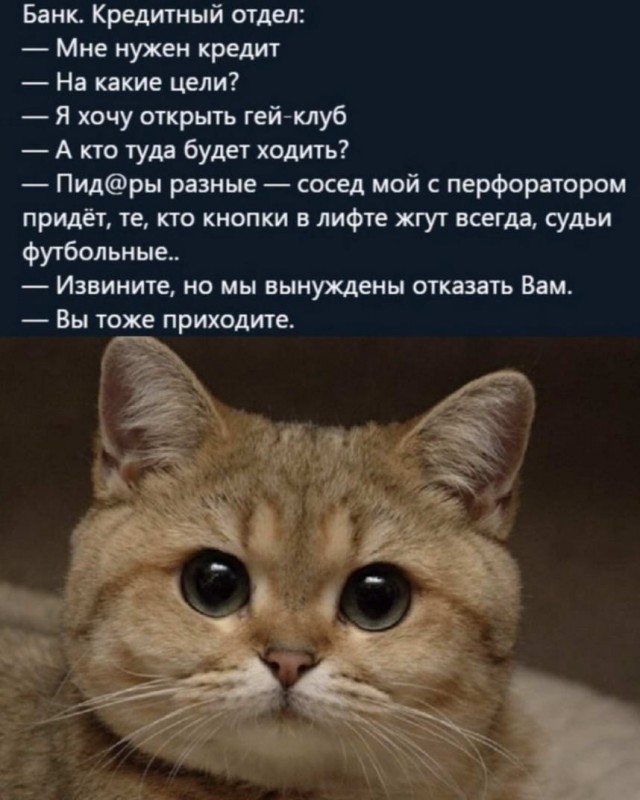 Картинки и мемы. Выходные близко...