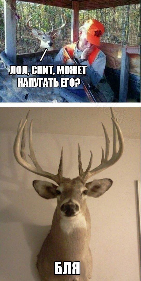 Всего понемногу 06.03